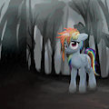 My Little Dashie