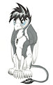 Griffon Chelsea