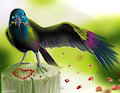 Love Bird
