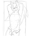 Hey Shadow, want some of this?