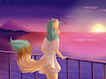Comm: SBM626 - Sunset