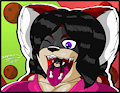 The raccoons