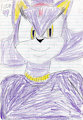 Blaze the cat