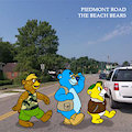 Nowhere Bear by The Beach Bears