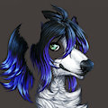 Pup Portrait