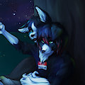 Under the Night Sky