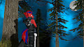 Night Apprentice