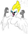 Cockatoo by kerisu