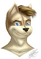 Handsome Husky by MrMidknight