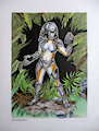 Lady Predator