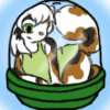 Capsule 