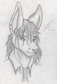 Headshots Series 1 by BunnyfoxDesigns