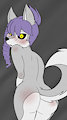 Blushing Husky