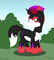 Dusk pone