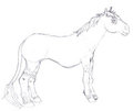 Sierus teh Stallion by Sierus