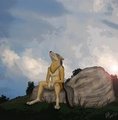 Longing for the Savannah