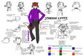 Starfox Construction Sheet Updated by Halpthiuian