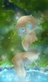 Magical Forest by TK