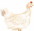 GreenReaper's cock by GreenReaper