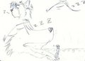 Sleeping Meal