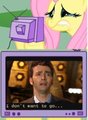 Fluttershy Meme by Radiaction