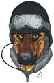 German Shepherd by insanefastone