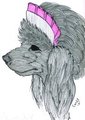 Poodle by insanefastone