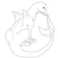 Dracolphin Lineart by Trixalia