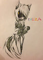 Paluza