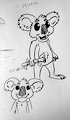 24-07-2016 Koalas
