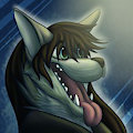 (Com)Imago - Go crazy? Don't mind if I do! by claws-and-paws