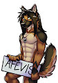 Afevis Badge