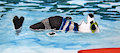 Desmond Can Float Forever