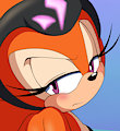 Echidnas and Bikinis