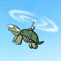 Flying Turtle