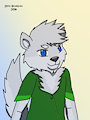 Random Wolf