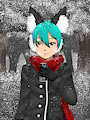 Winter Walking