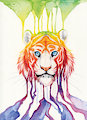 Rainbow Stripes