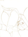 Sticks: Inviting or Playing Possum :S: