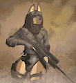 Fog of War