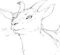 goat by nov