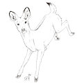 Chinese Water Deer  by FoxyenaArts