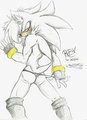 Rubin the Hedgehog for MonkeyBoyDon...finally!! by Mimy92Sonadow
