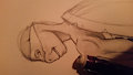 Donnie W.I.P.