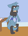 Another potty-dancin' Riolu