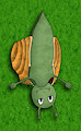 Hugging Snail