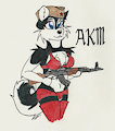 Martial Pinups: AKM