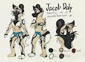 Jacob Daly Ref
