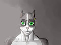 Boxce nice face by T-Ryo