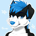 Artic by "Sapphynhoa in FA" for Bluxer by Bluxer